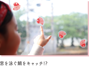 加太さかな線観光列車 ピンク色のめでたいでんしゃ 南海電鉄