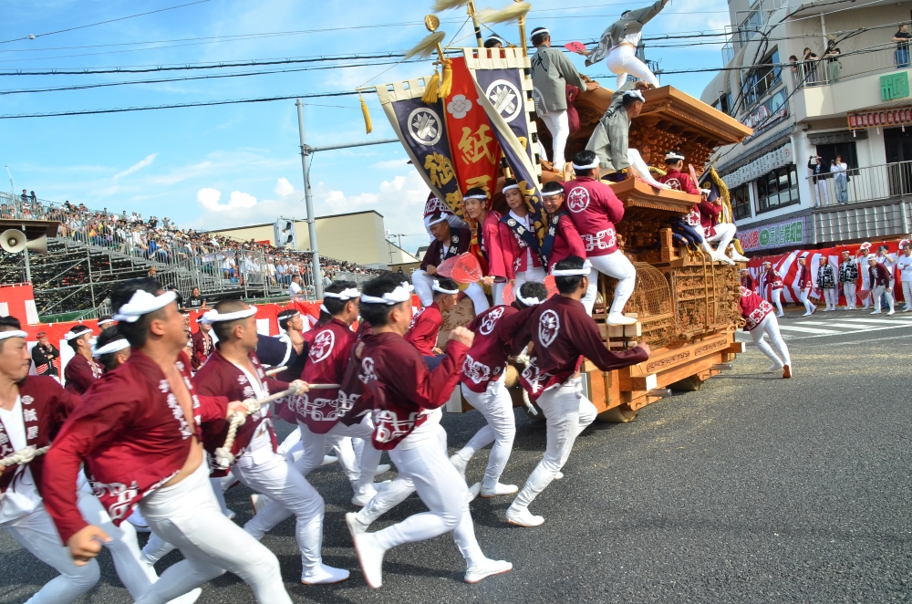 大阪】知ればもっとおもしろい、岸和田だんじり祭 | 南大阪・和歌山の