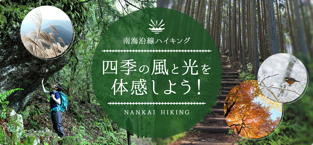 南海・高野線沿線ハイキング特集 - 四季の風と光を体感しよう！