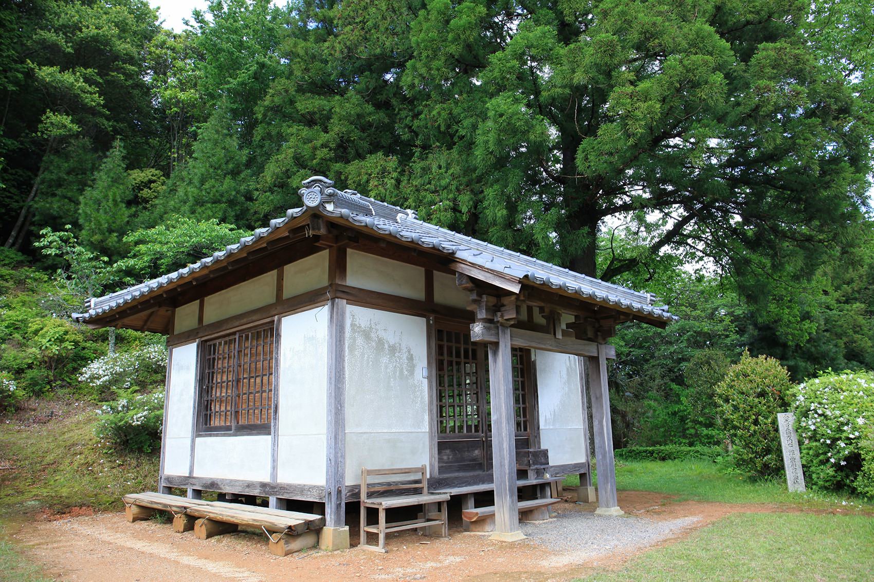 世界遺産 高野山町石道（ちょういしみち） | 南大阪・和歌山のおでかけ