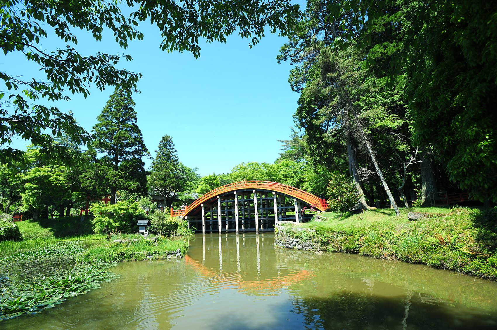 世界遺産 高野山町石道（ちょういしみち） | 南大阪・和歌山のおでかけ