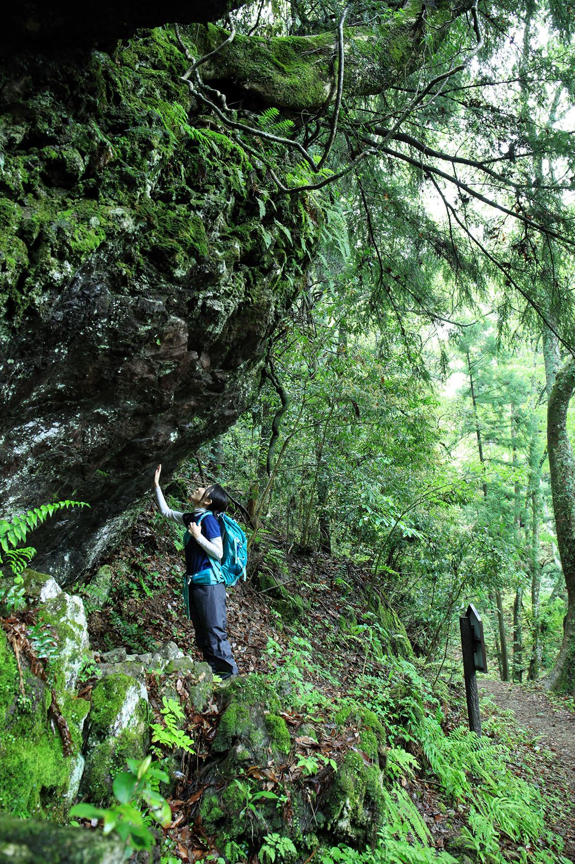 押山 sight_img_oshiageishi1.jpg
