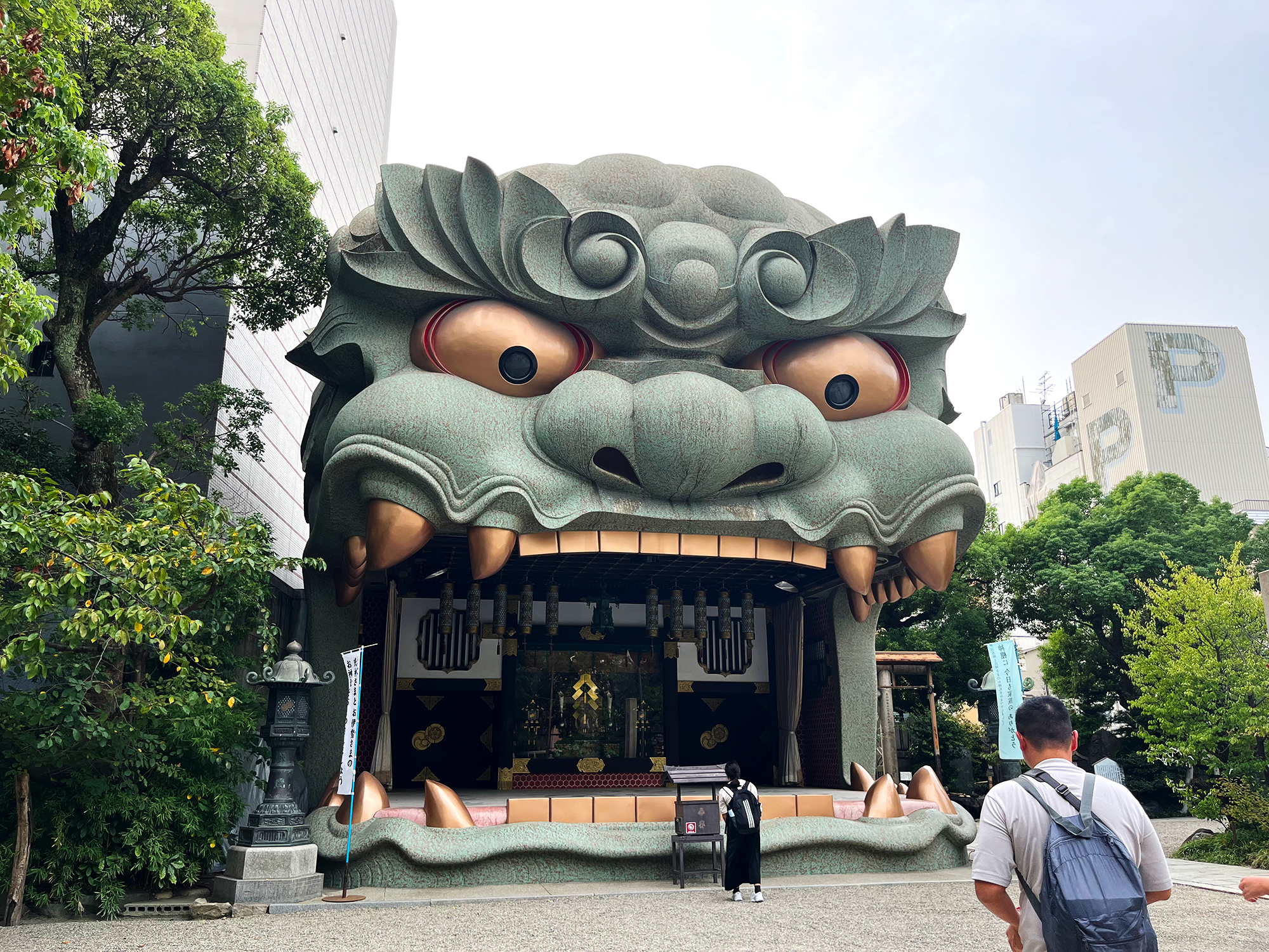 活動歴および当時の関連ビジュアル記録