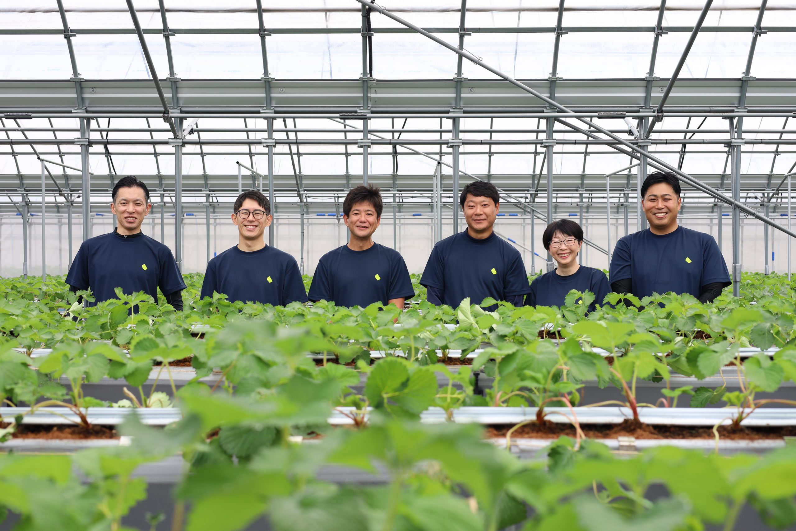 泉南エリアに誕生！いちご収穫体験が楽しめる体験型農園「Refarm YOSHIMI 370」がオープン