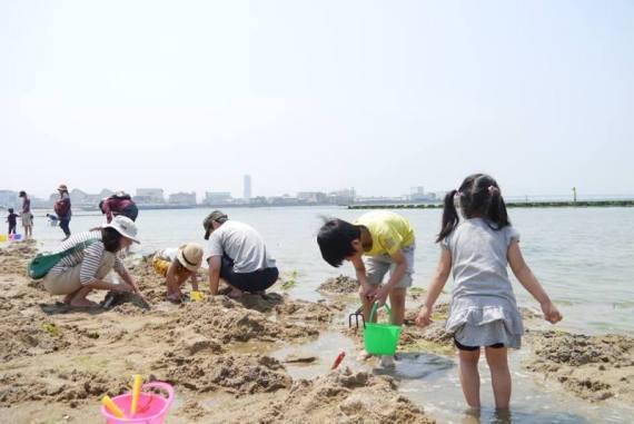 【貝塚市】二色の浜で潮干狩りを楽しもう！
