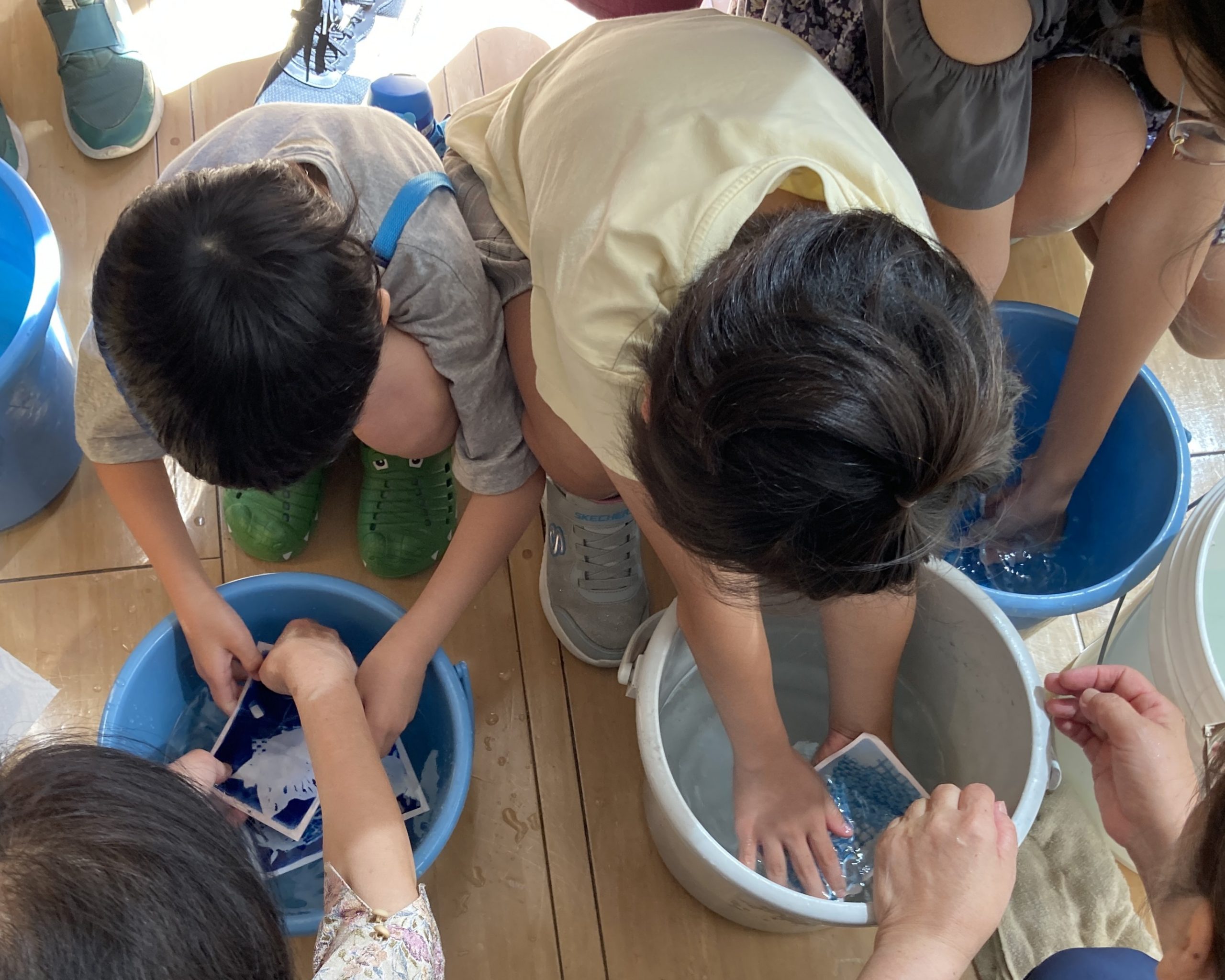 太陽の光で青写真ポストカードをつくろう！を開催します
