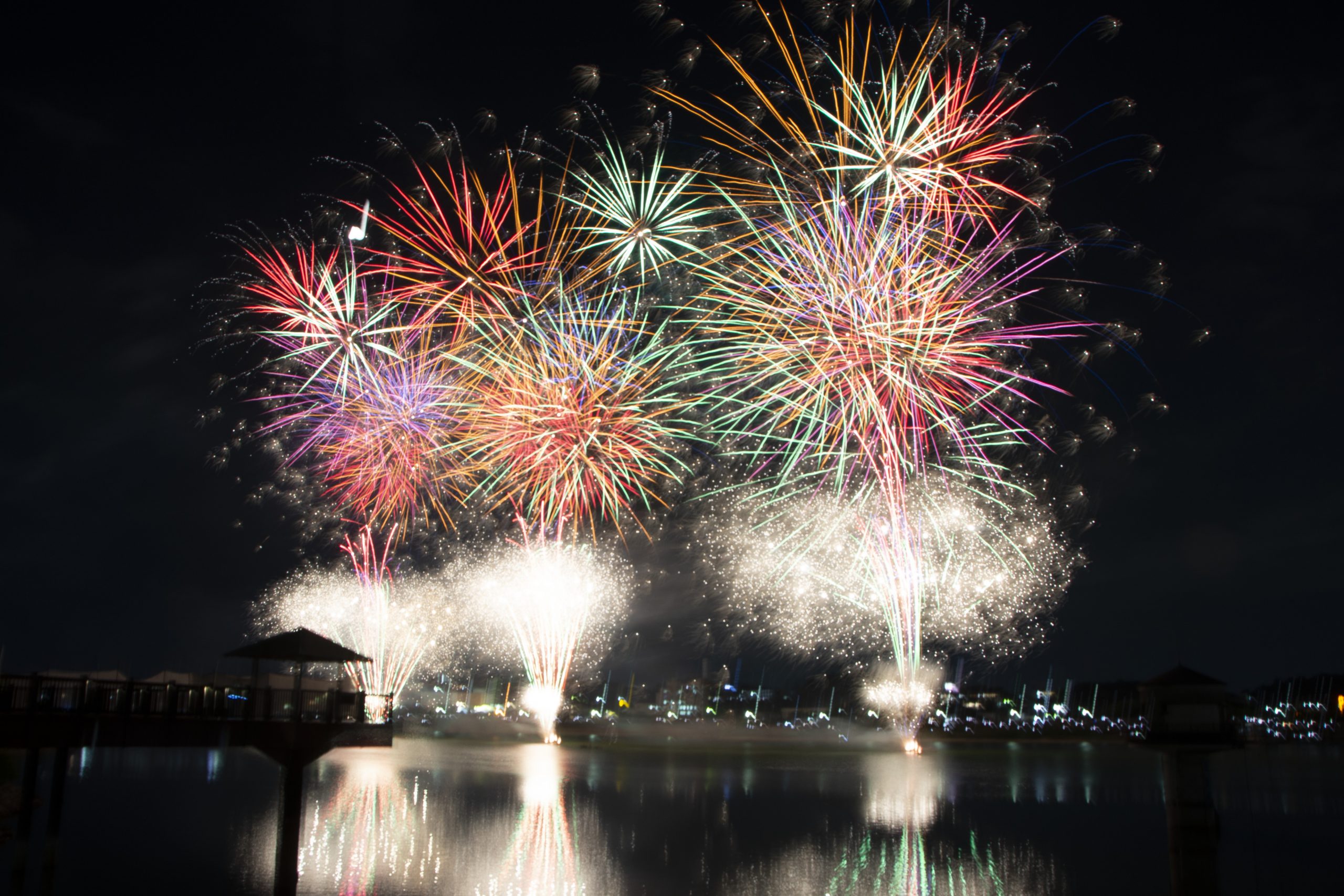 桜まつりサマーブロッサムナイトin狭山池2026」開催！ | 南大阪
