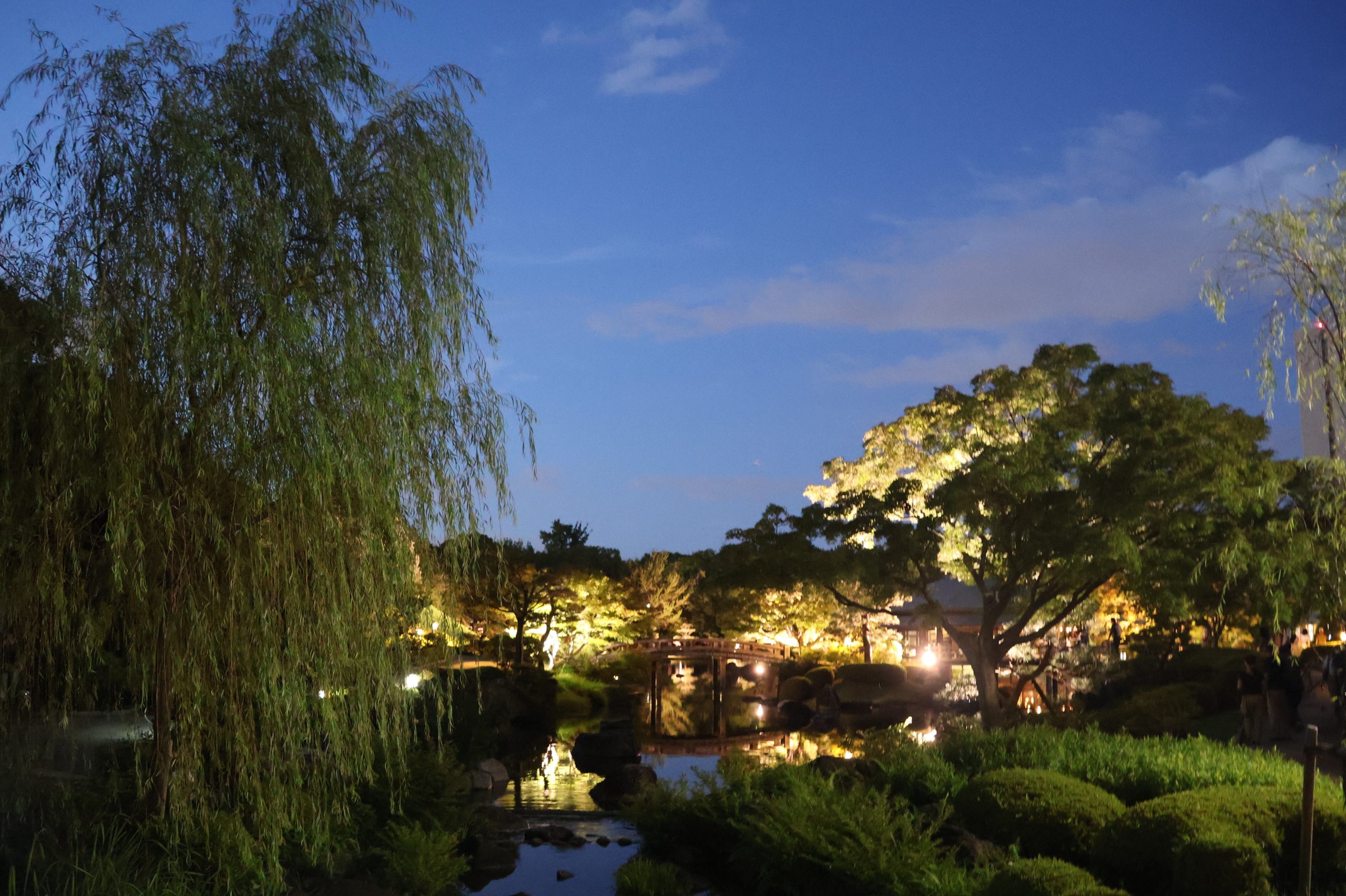 夏の夜、大仙公園日本庭園がやわらかな灯りに包まれます