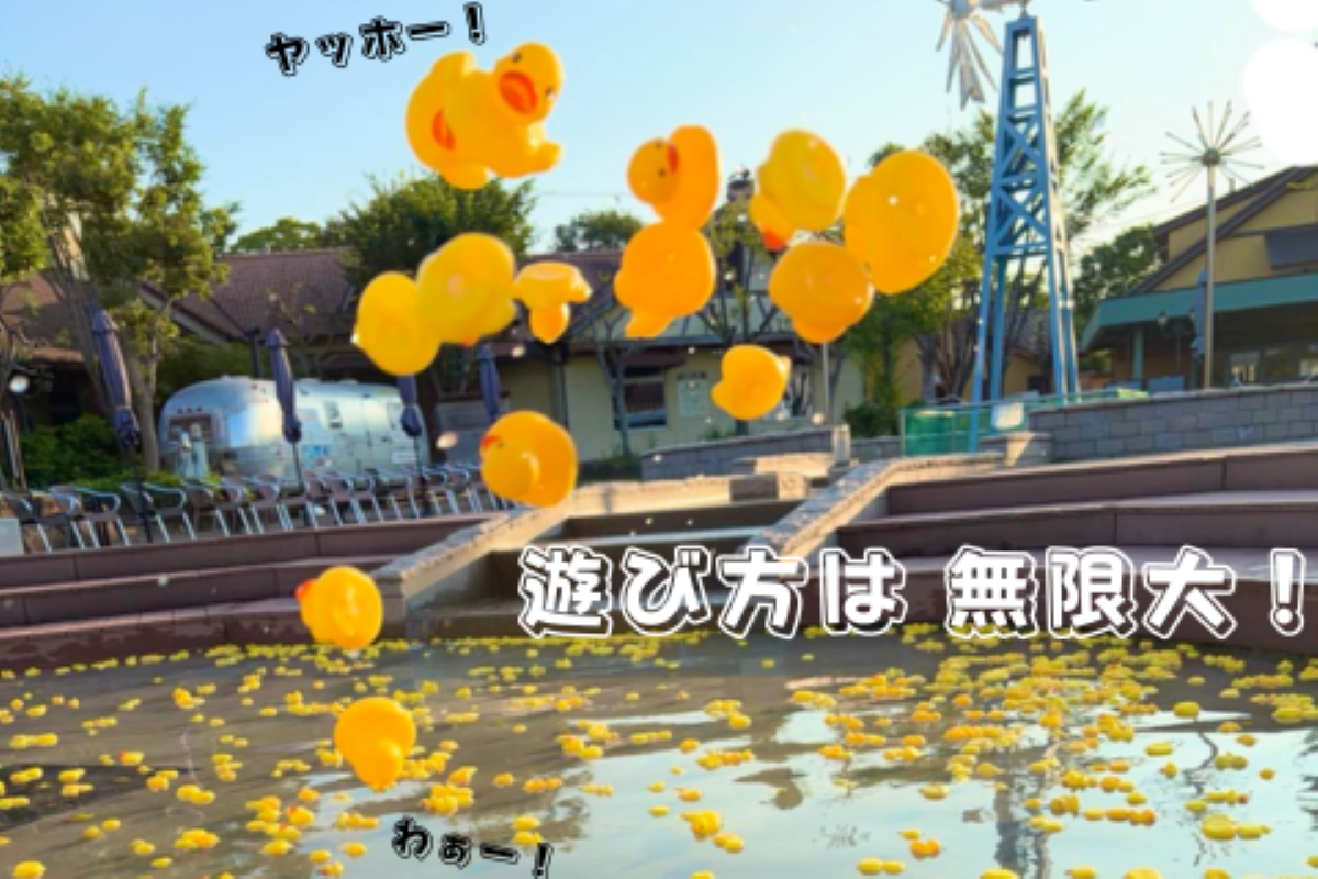 子どもも大興奮！3500羽のアヒルのおもちゃと遊ぼう！