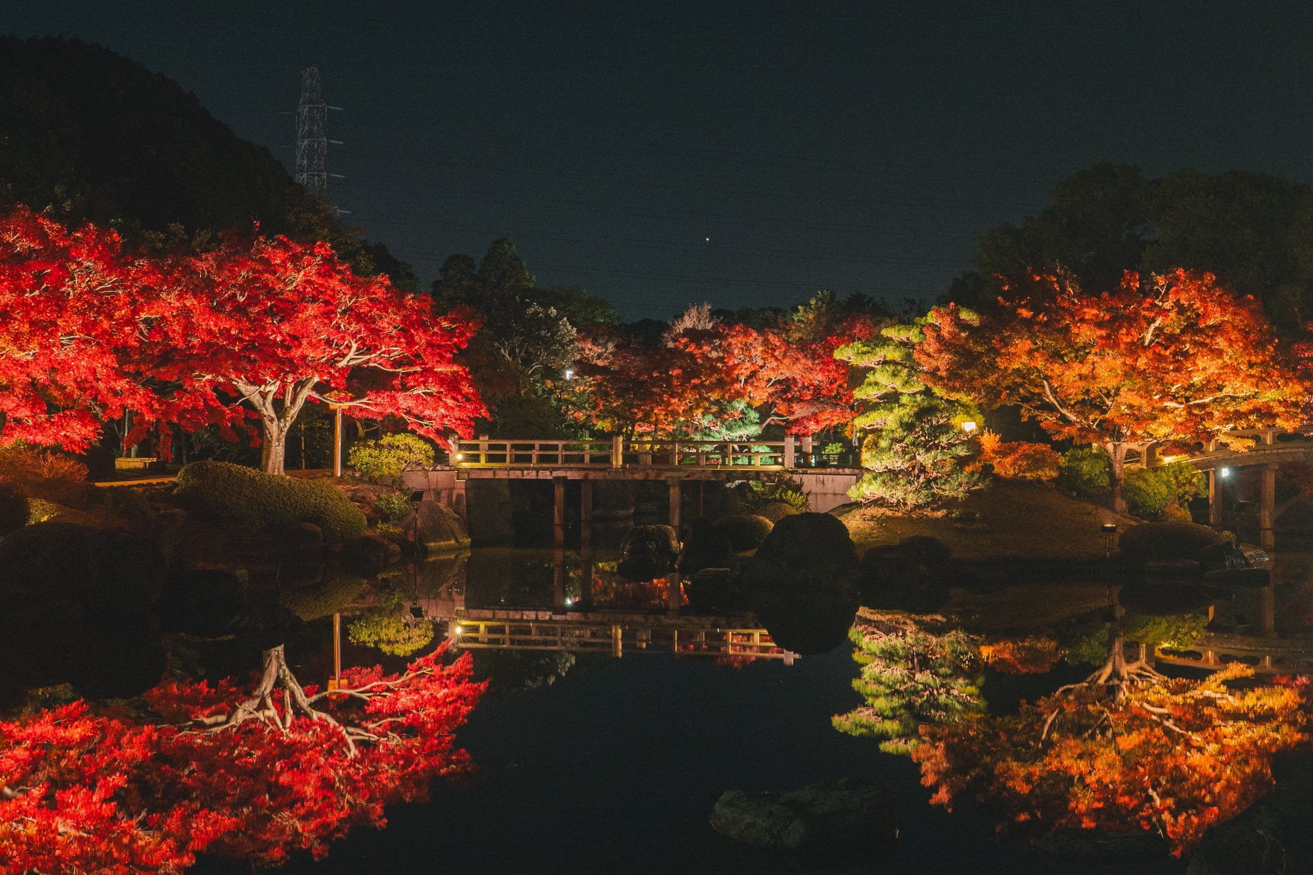大仙公園日本庭園では、紅葉で彩られた庭園のライトアップを開催いたします。