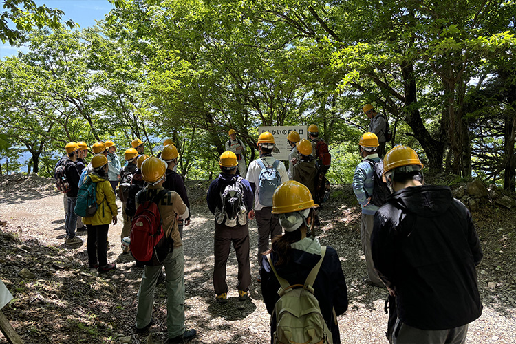 役員や従業員もボランティアで間伐作業