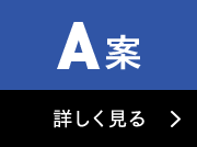 Ａ案 詳しく見る