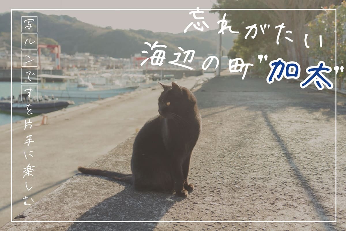 「写ルンです」を片手に楽しむ“忘れがたい海辺の町