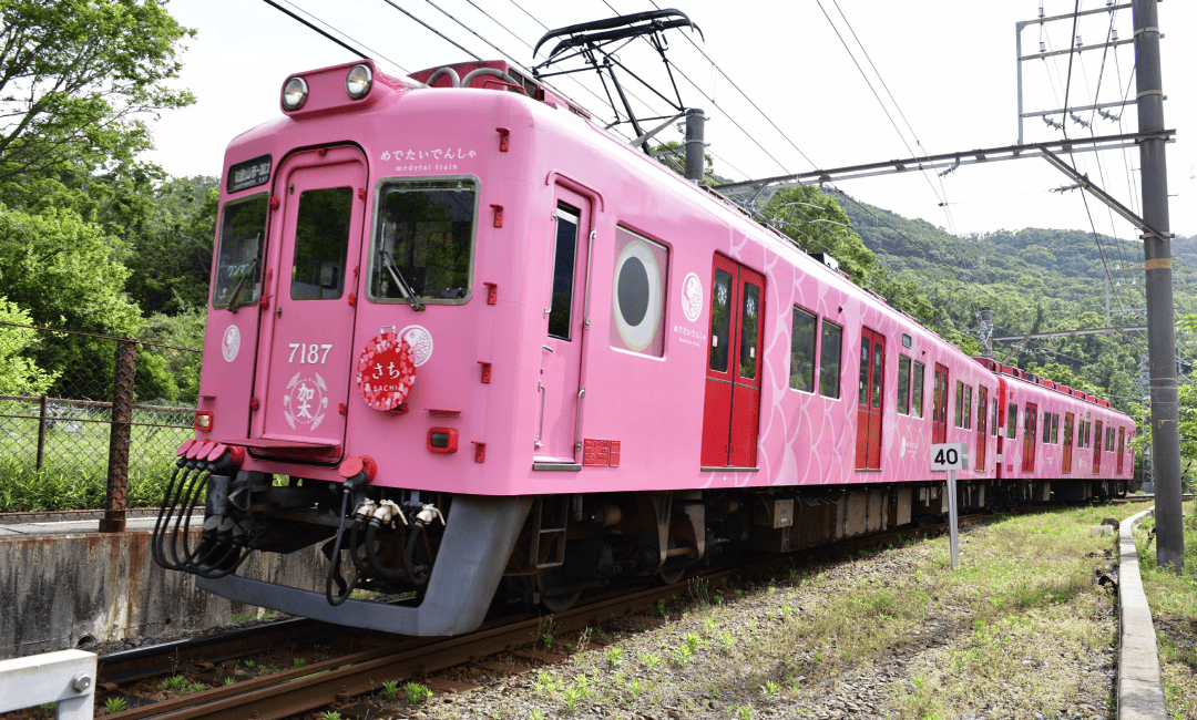 めでたいでんしゃ さち外装