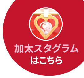 加太スタグラム