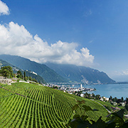 スイス「ラヴォー地区のブドウ畑」写真