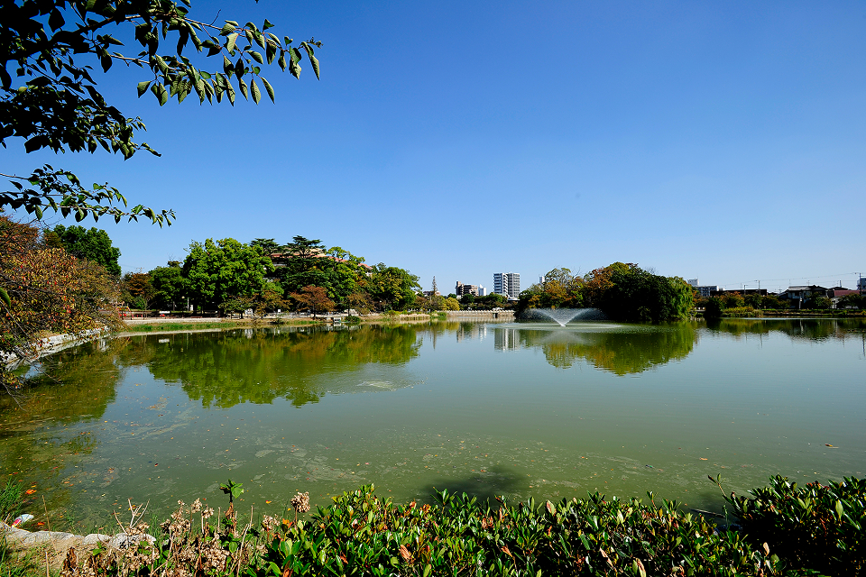万代池公園