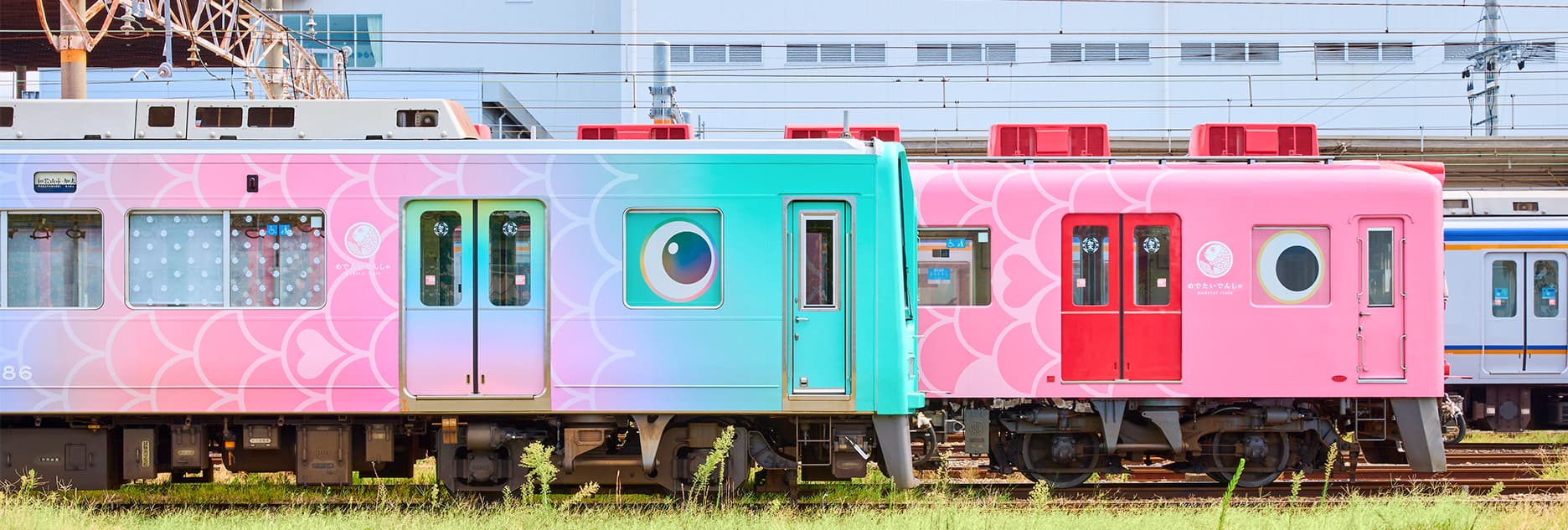 南海 電気 鉄道