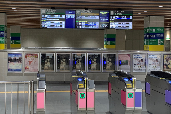 中百舌鳥