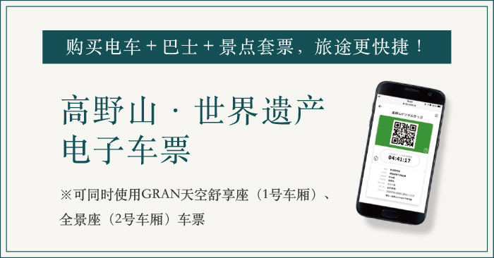 购买电车＋巴士＋景点套票，旅途更快捷！ 高野山·世界遗产电子车票